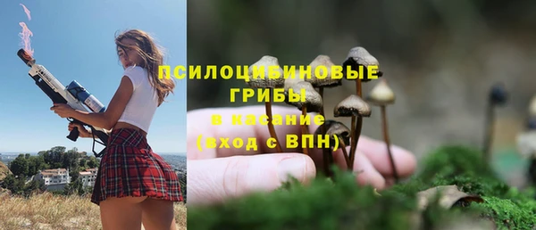 герыч Арсеньев