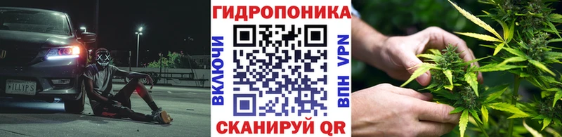 Шишки марихуана тримм  Чудово 